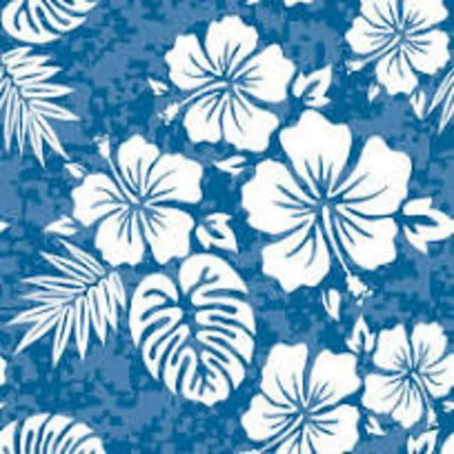 pattern1 cloth pattern